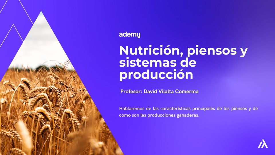 Nutrición, piensos y sistemas de producción